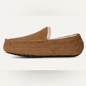 NIB UGG Ascot Slipper
